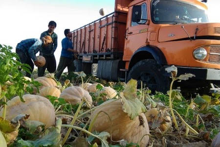 دشت لیشتر گچساران