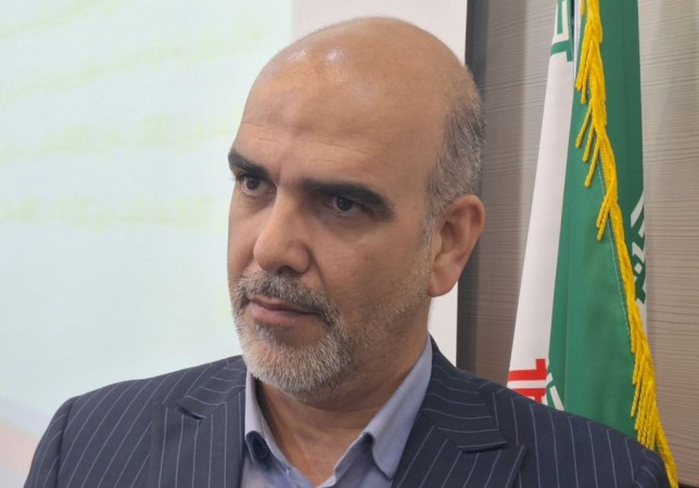 مرتضی جعفری معاون پژوهشکده سوانح طبیعی