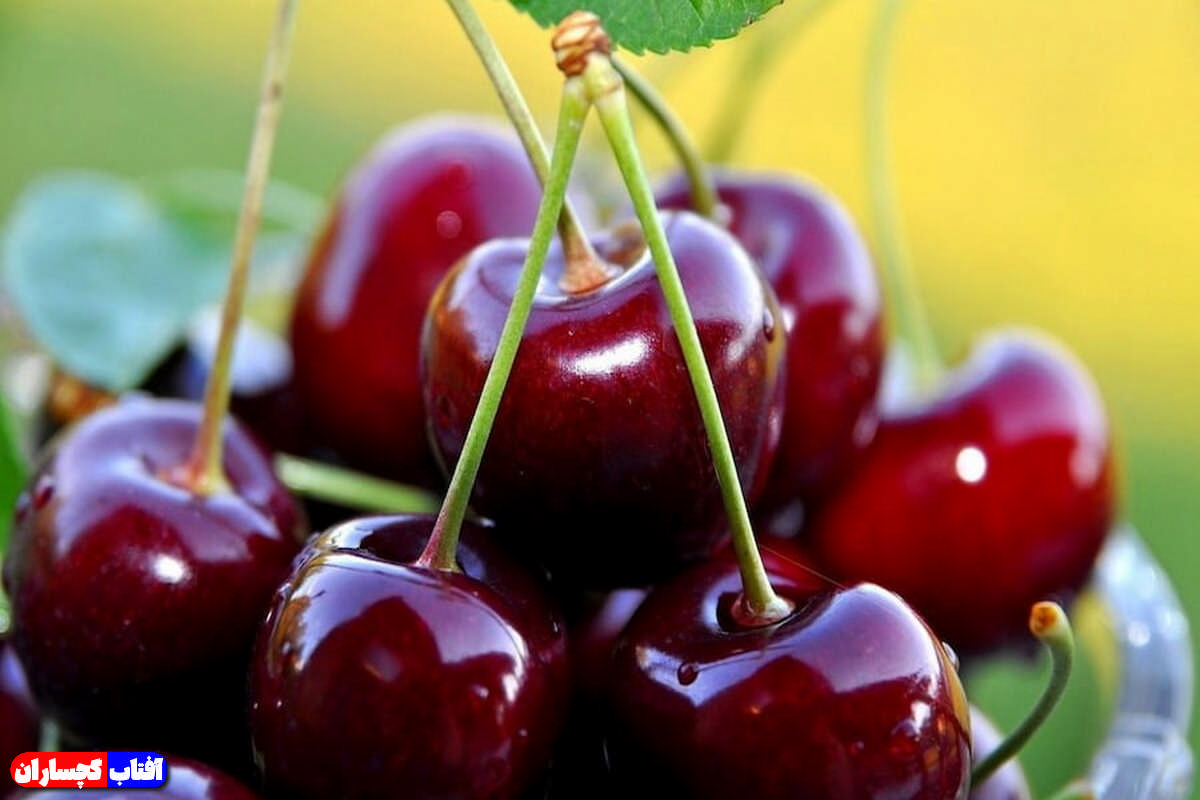 گرانی میوه و تره بار گچساران